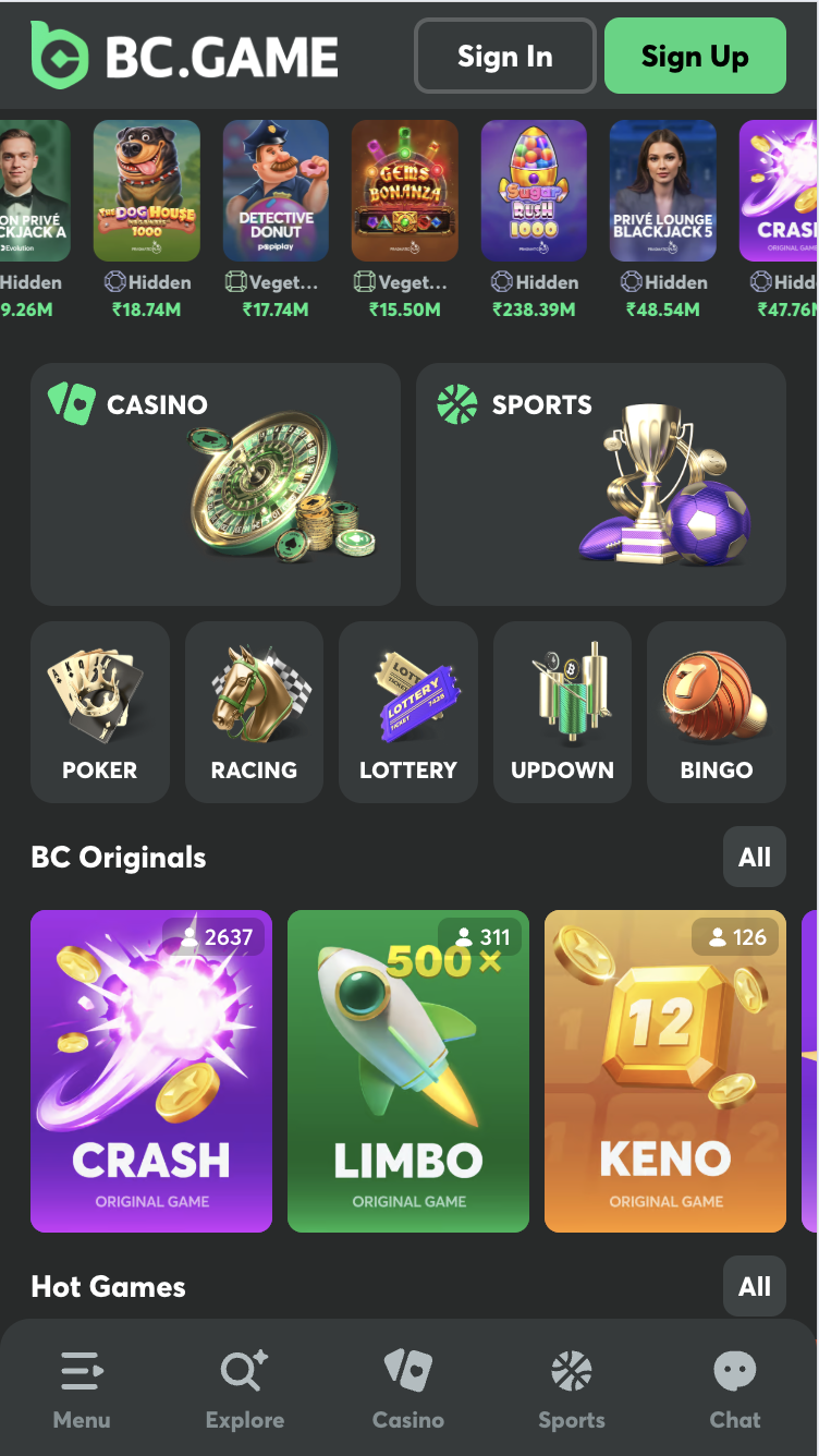 BC.GAME App India Mobile Betting Site Example